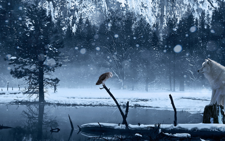 Мы идем вместе