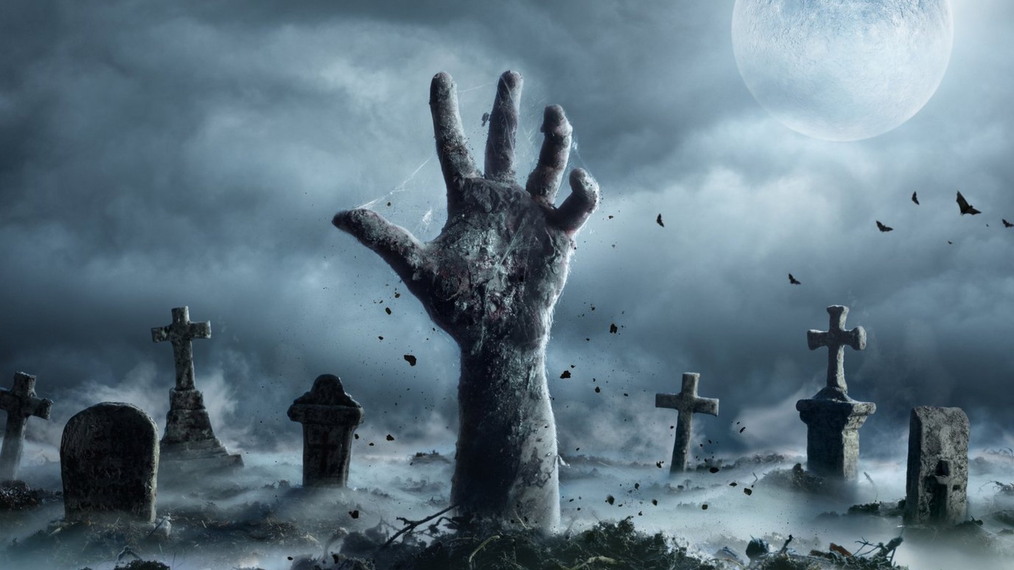 Я спрошу у Ворона