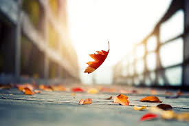 Унесенный Ветром 4