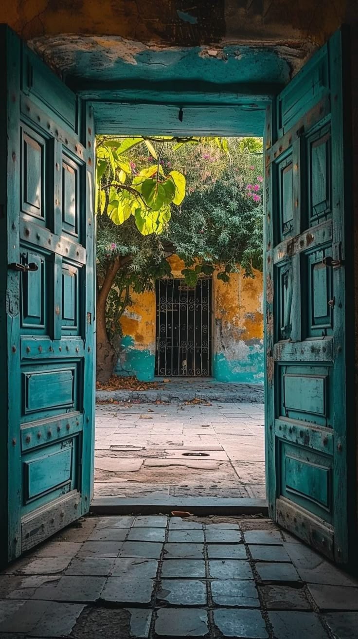 Любовь, смерть и р... регата!