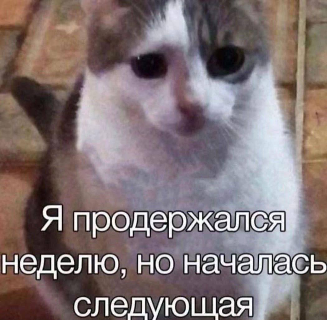 Первый день осени 