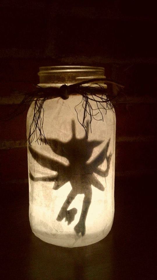 Анатомия чудес 