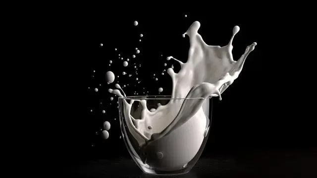 Игровой день: «Бар MOLOKO»